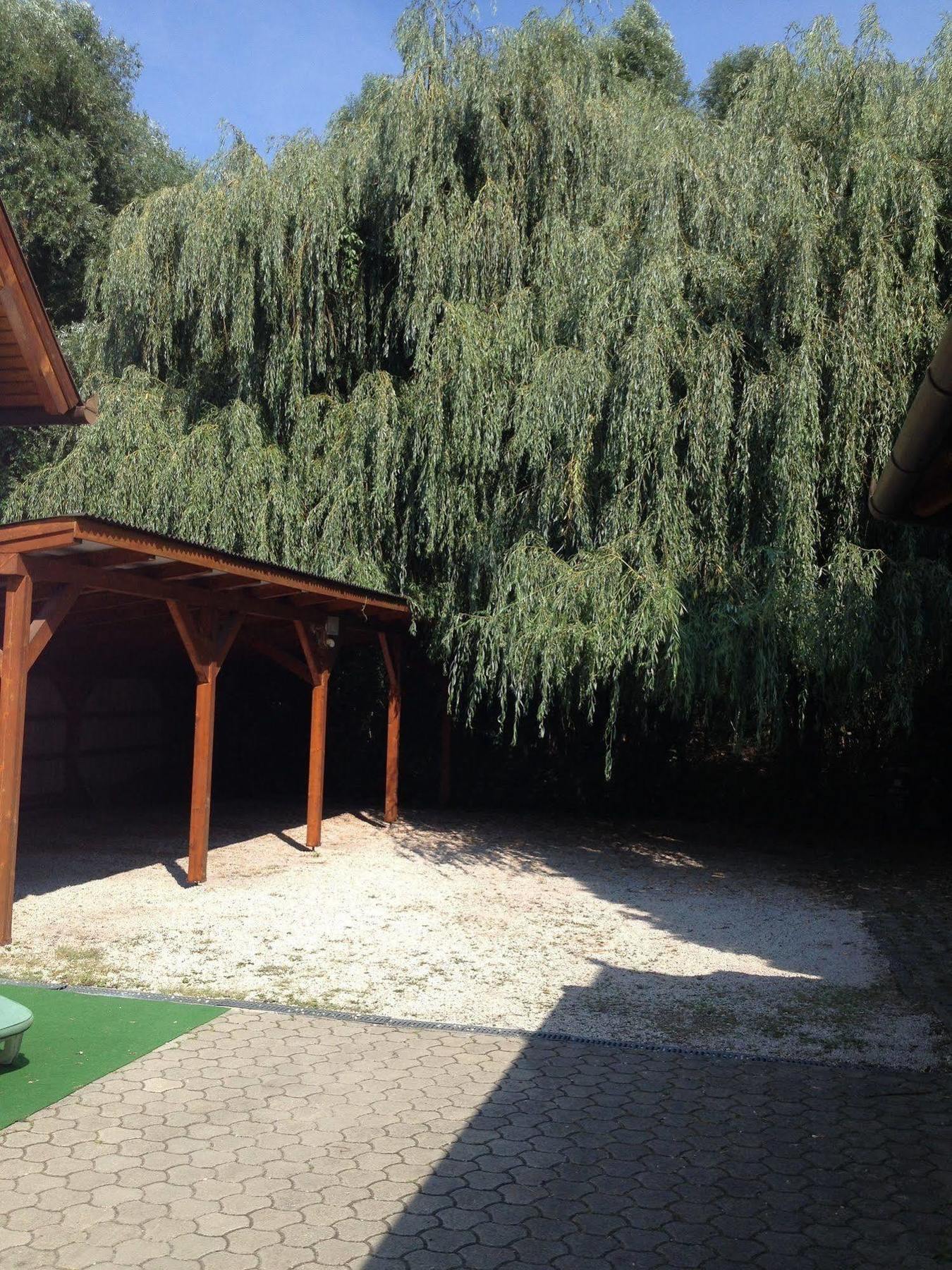 Villa Valeria Hévíz Exterior foto